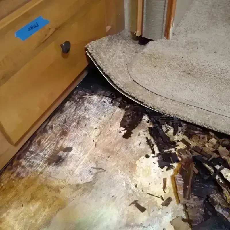 Wood Floor Water Damage in City of Richmond, VA